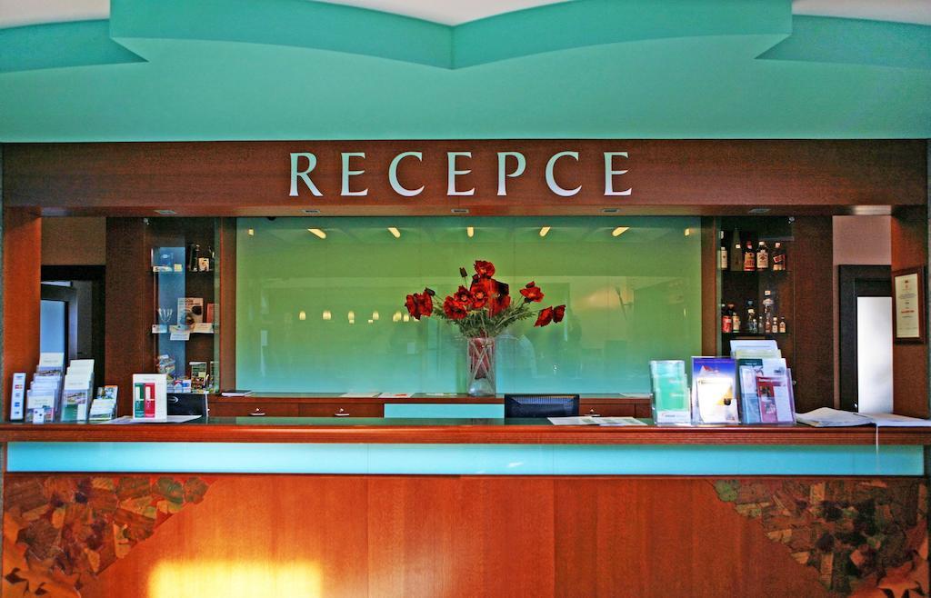 Wellness Hotel Happy Star Hnanice  Exteriör bild